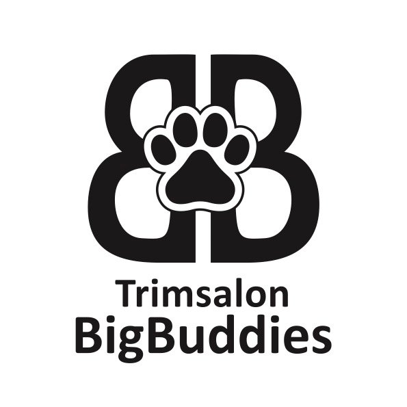 Logo Trimsalon Big Buddies