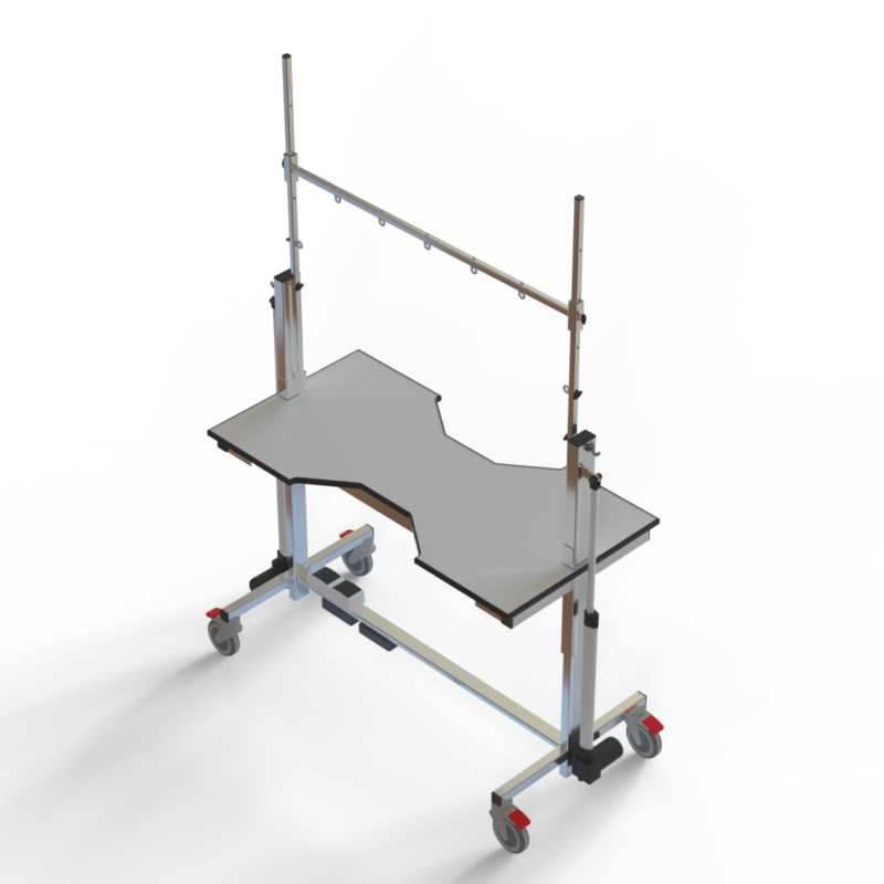 Type 3 bone lichtgrijs HQ zwarte rand